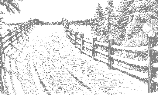 Weihnachten haus am wald winter